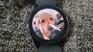 Photo showing a customized Samsung Galaxy Watch 4 face which display a photo of a Labrador puppy