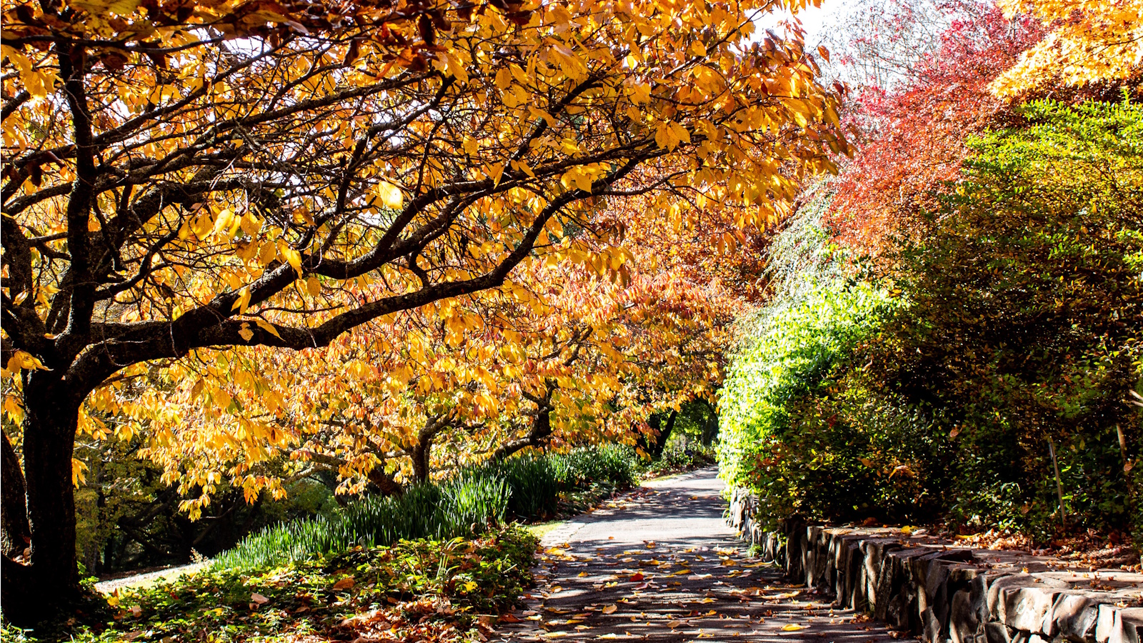 Farmers&#039; Almanac 