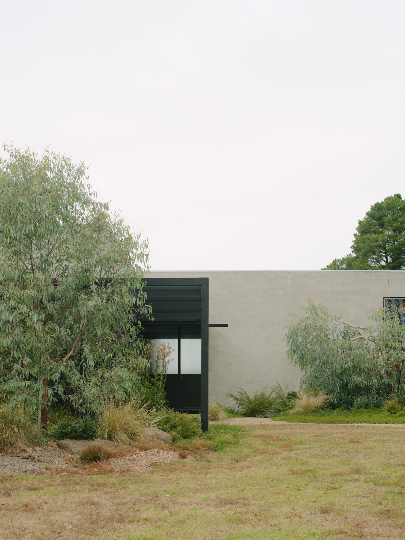 a rural house in australia, designed to be minimalist and surrounded by nature
