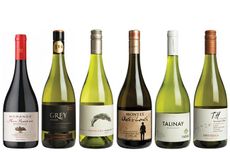 Chilean Sauvignon Blanc Panel Tasting