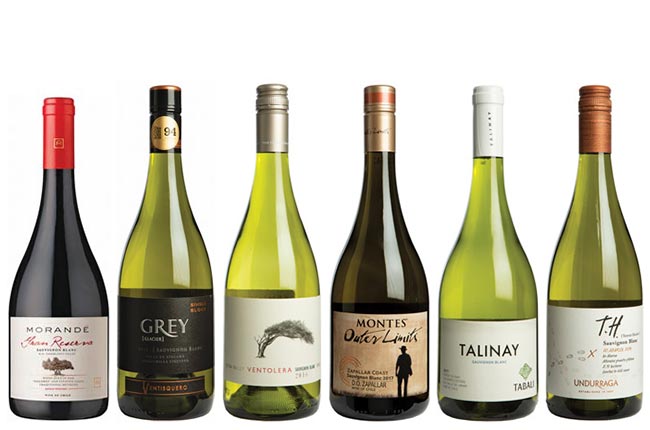Chilean Sauvignon Blanc Panel Tasting