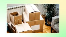 Moving boxes on a green ombre background