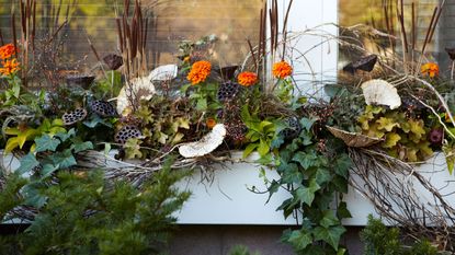 autumn window box with plants and decorations