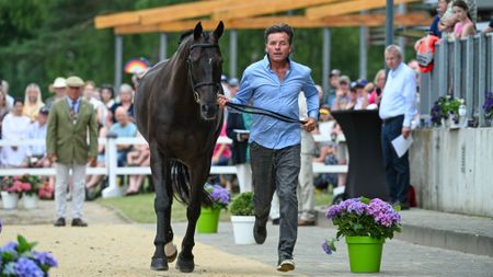 New Zealand rider Dan Jocelyn pictured at the CCI4*-S Luhm&uuml;hlen Horse Trials final horse inspection with Blackthorn Cruise.