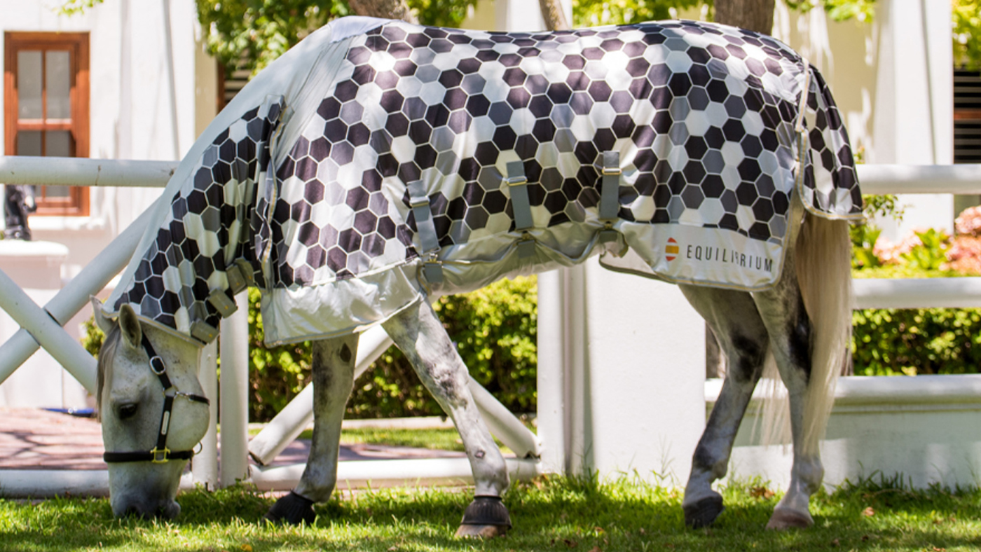 Grey horse wearing Equilibrium Field Relief Fly Rug