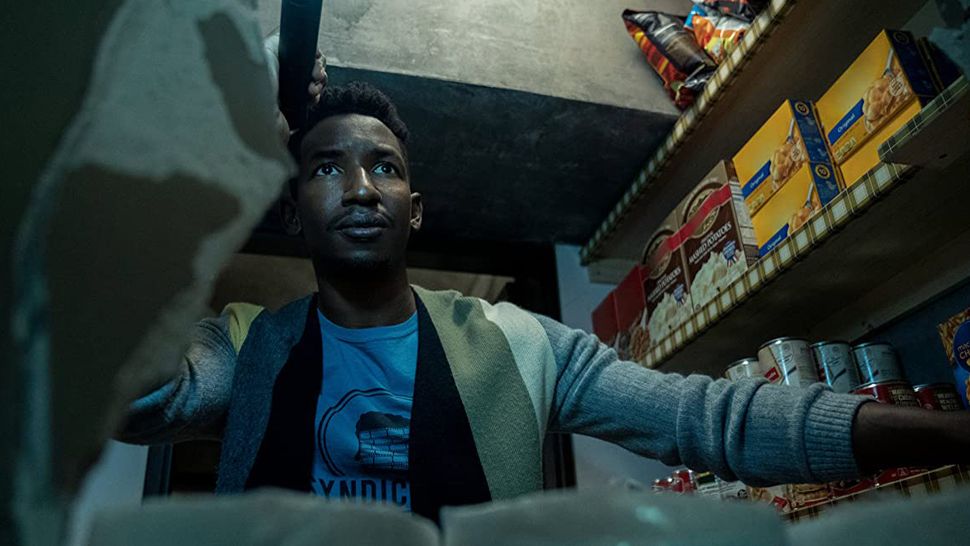 Netflix cancels critically-acclaimed horror series after just one