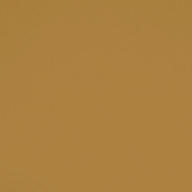 dark yellow paint swatch