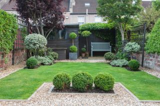 a neat lawn with topiary shrubs