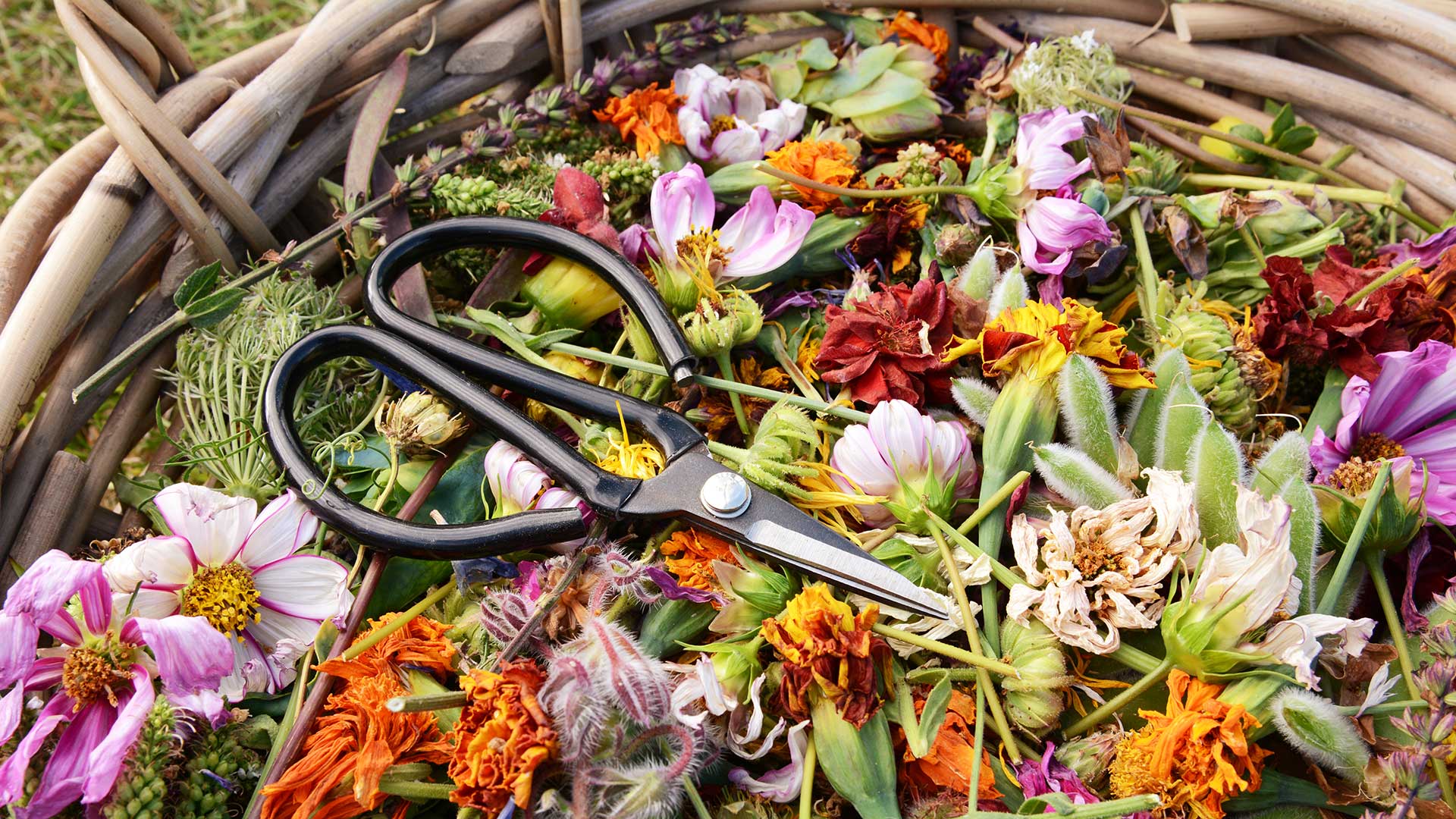 basket of deadheaded flowers