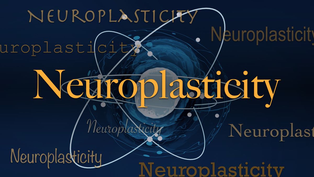 Science word of the day: Neuroplasticity