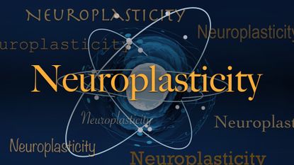 Science word of the day: Neuroplasticity | Live Science