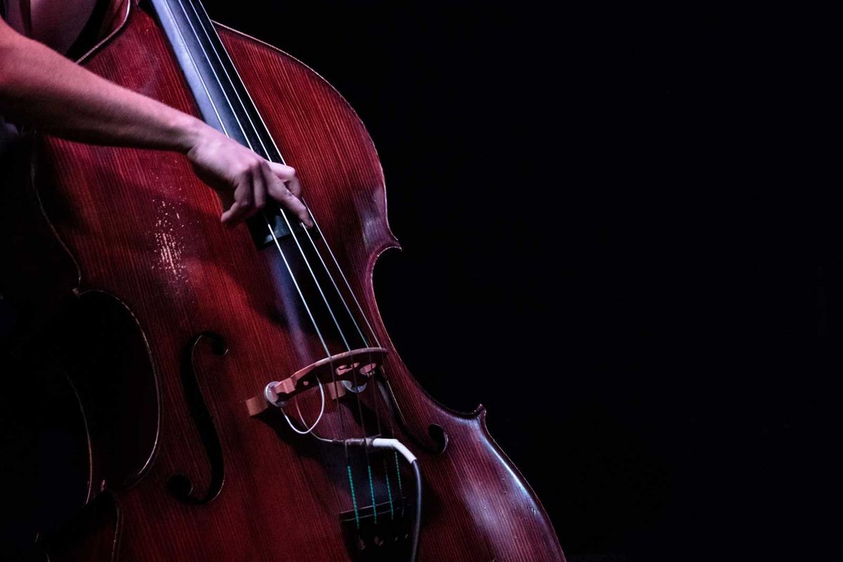 upright bass