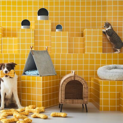 IKEA UTSÅDD products on a yellow background with a dog and cat in the frame