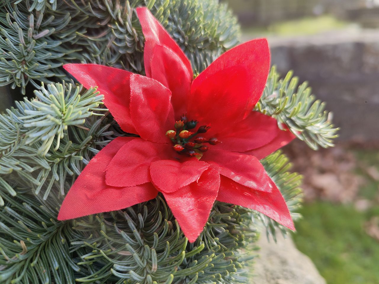 Oppo Find X2 Pro camera sample