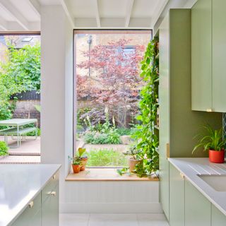 green kitchen diner with a window seat and trailing plants