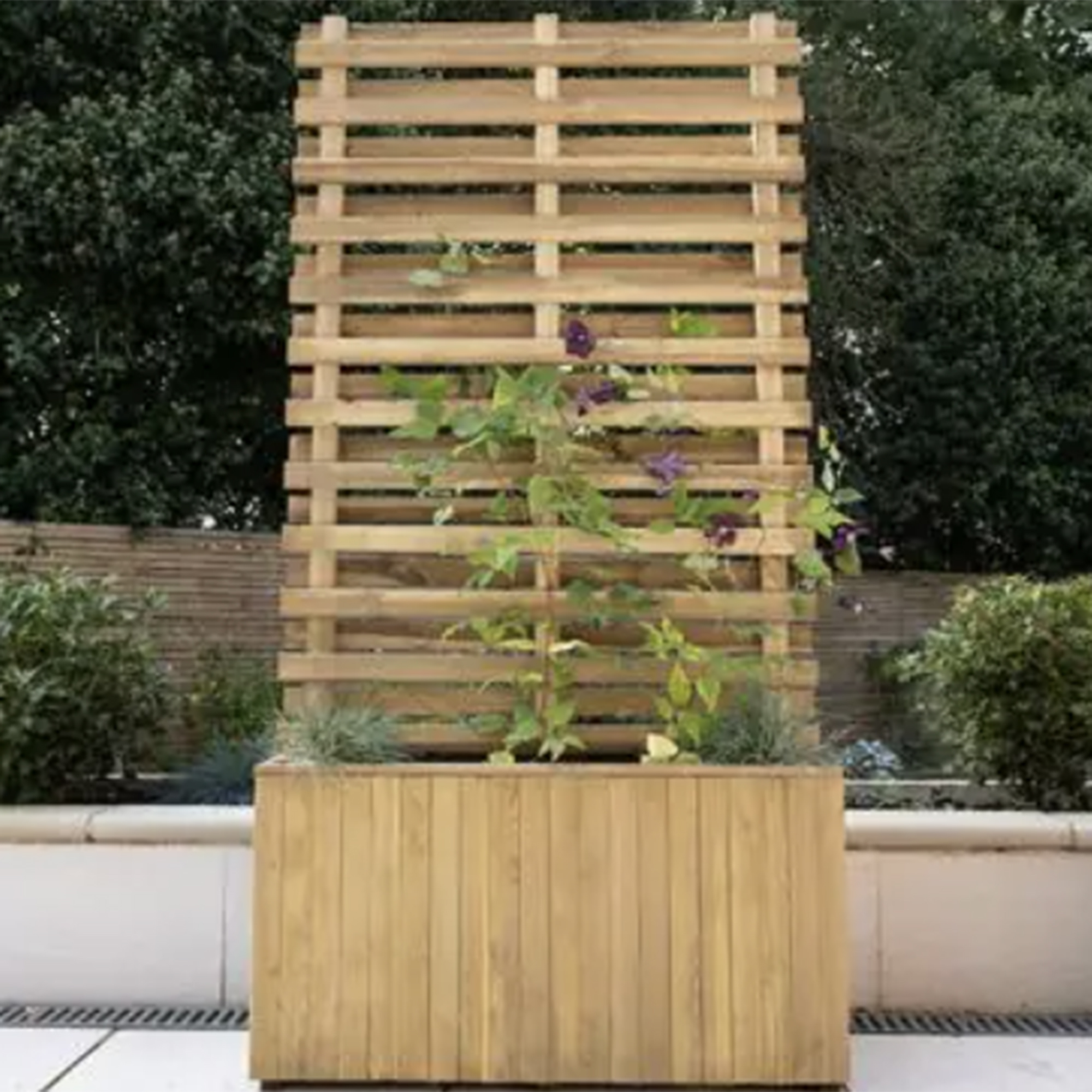 2'11 x 1'3 Forest Wooden Garden Living Wall Planter (0.9m x 0.39m)