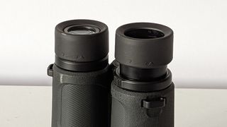 A close up view of the eyecups
