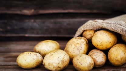 A harvest of potatoes stored in a potato sack