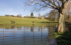 1-flooded-field-up-high.jpg