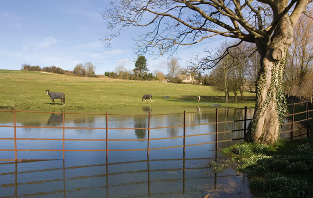 1-flooded-field-up-high.jpg