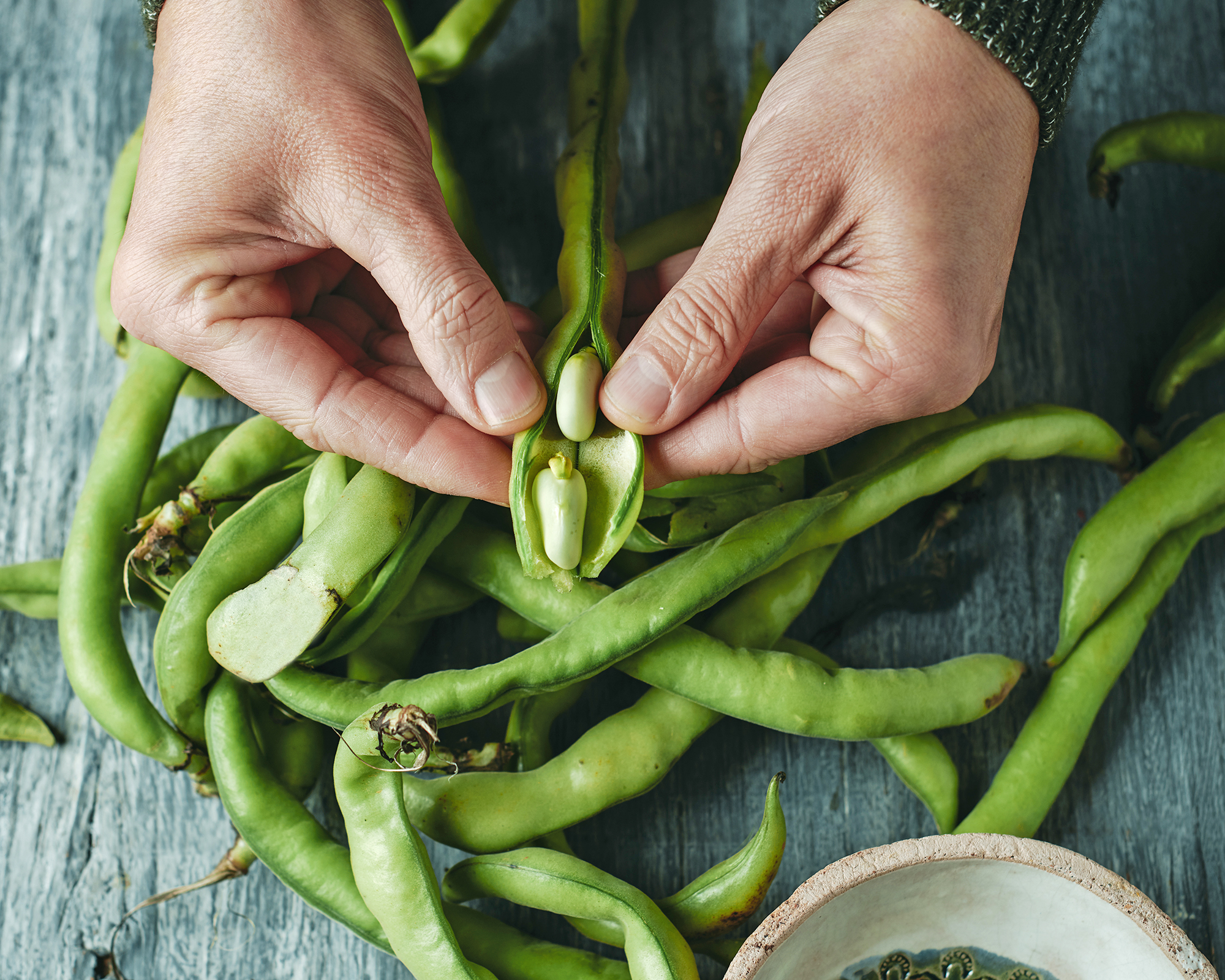 A man removes fava beans from their pod, on a rustic gray wooden table