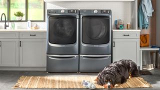 Large dog sleeping in front of a Maytag Pet Pro Smart washer and dryer