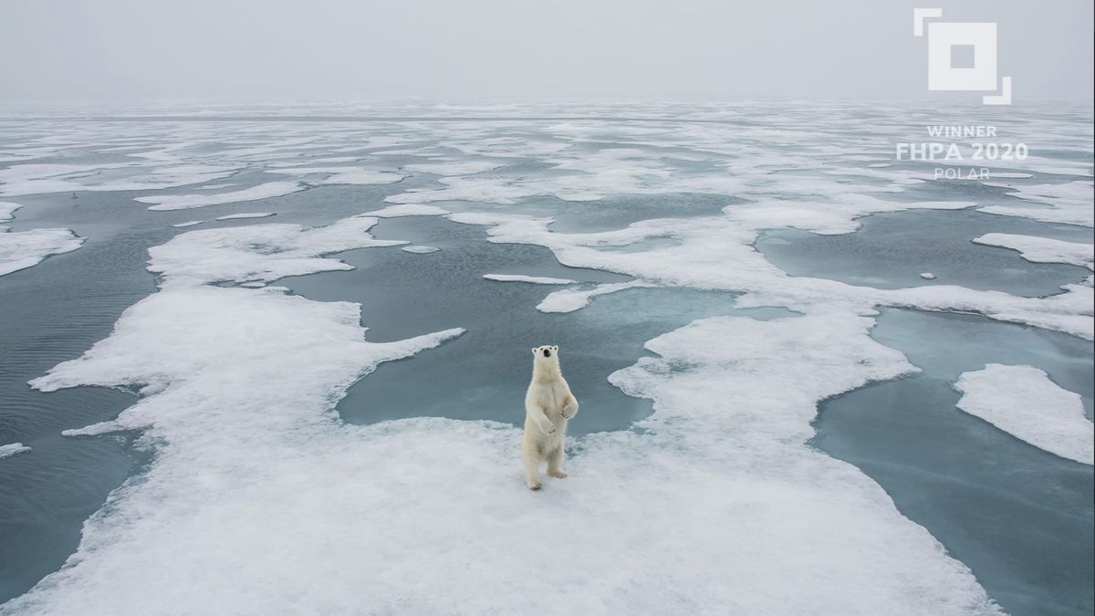 Frank Hurley Photography Awards