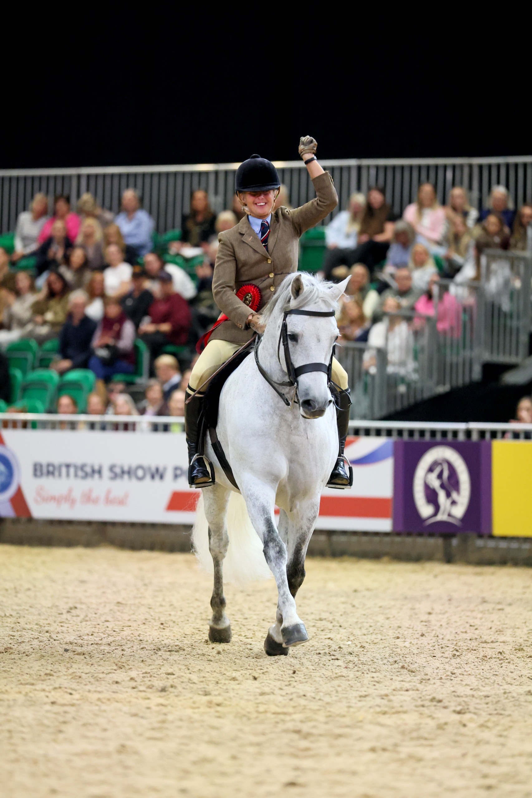 Ravenstone Fudge II owned by Beverley Bayes and ridden by Steph Turner who is punching the air in their lap of honour at HOYS
