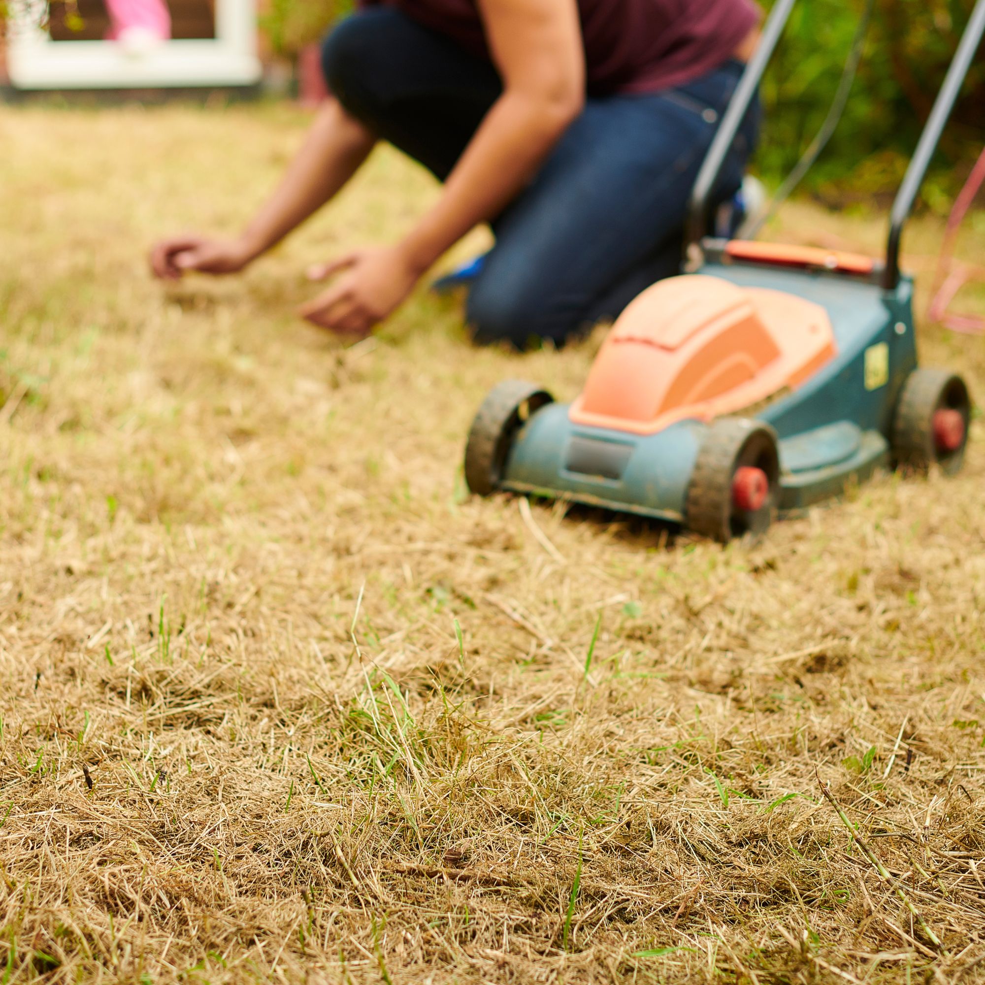 dry grass with lawn mower