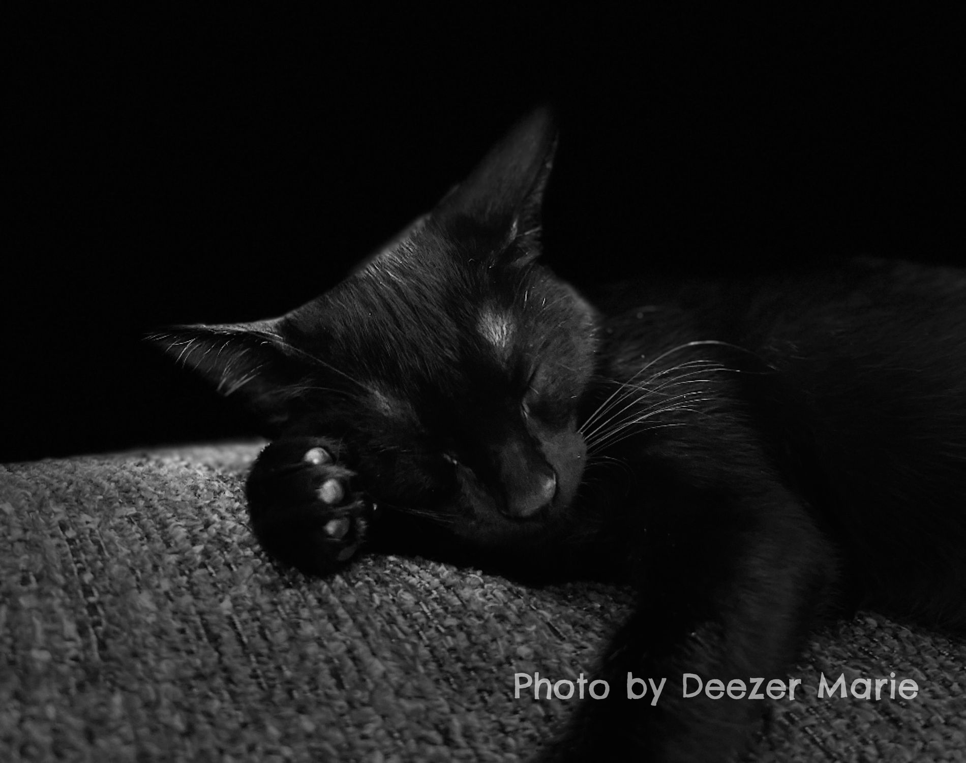 GuruShots - Mostly Black July 2025