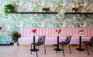 Tropical wallpaper and plenty of potted plant