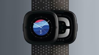 Fitbit Sense 2 in Shadow Grey