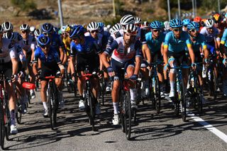 Trek-Segafredo, NTT Pro Cycling and Astana on the front of the peloton during stage 8 of the Giro d'Italia. 