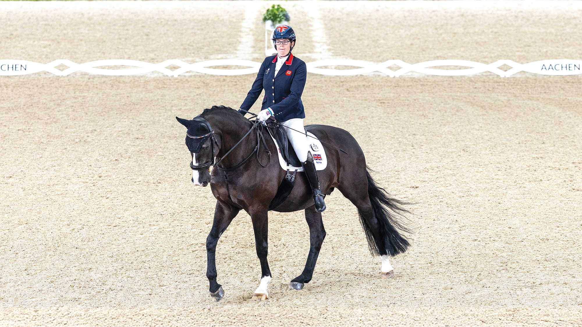 A dark bay multi-medal winning para dressage horse walking in a dressage arena ridden by Mari Durward-Akhurst