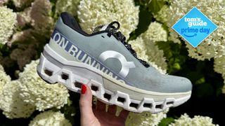 a photo of the On Cloudmonster 2