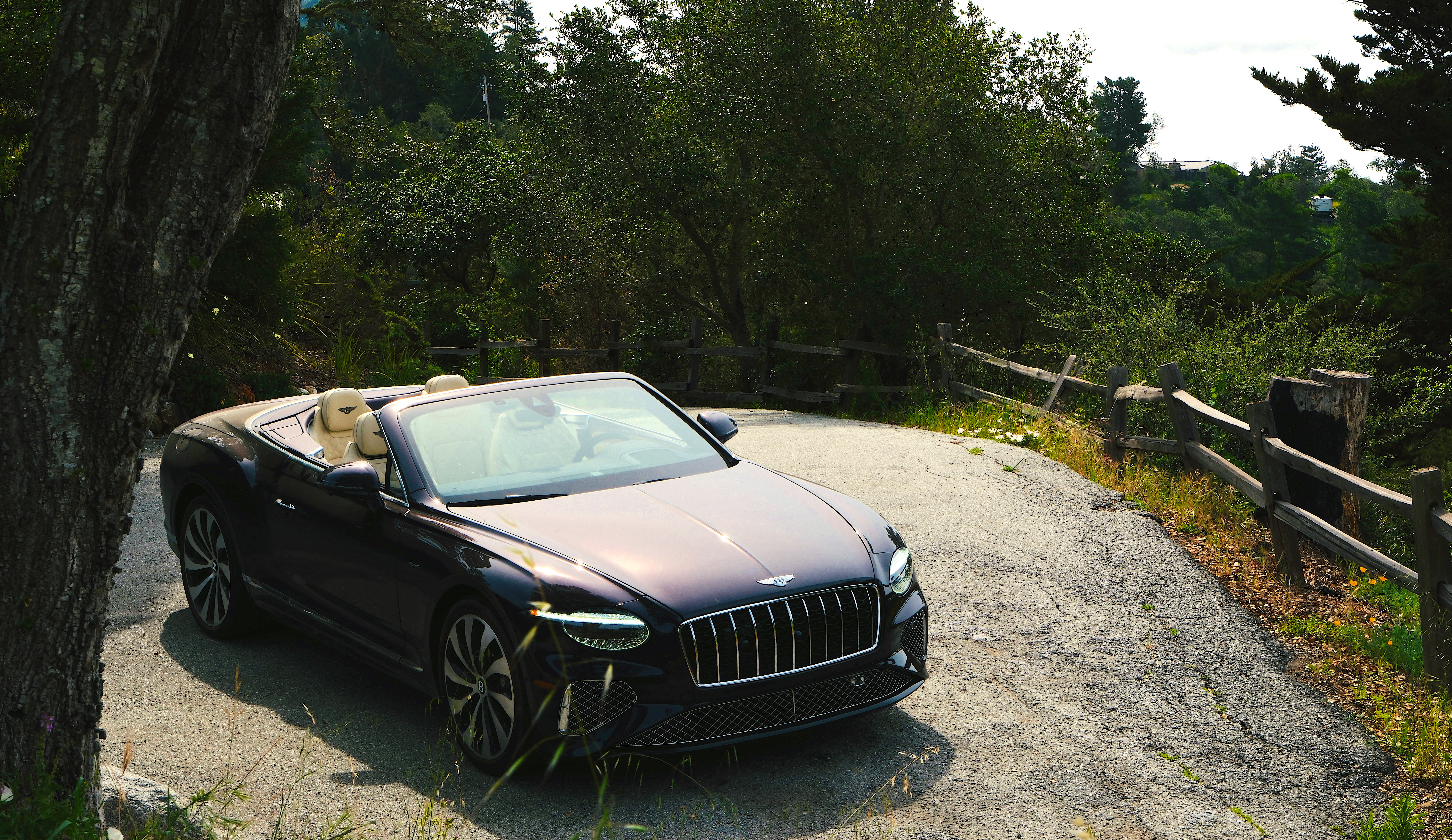 Images of a Bentley Continental with a glorious pacific northwestern background