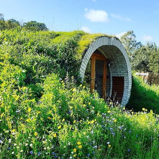 an angled view of the front door of a hobbit house tucked under a hill surrounded by green grass and wildflowers, with a shining blue sky