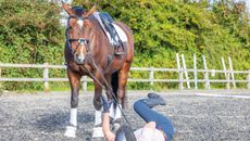 The FEI has announced a review of its concussion policies. Picture a rider who has fallen off a horse.