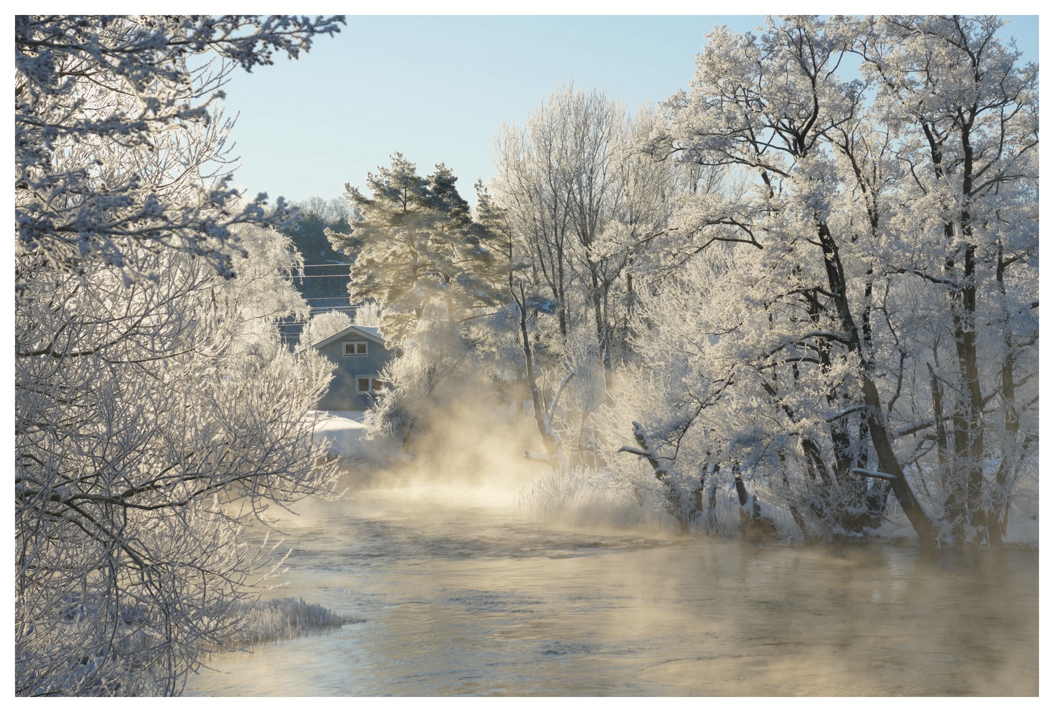 GuruShots - February 2026