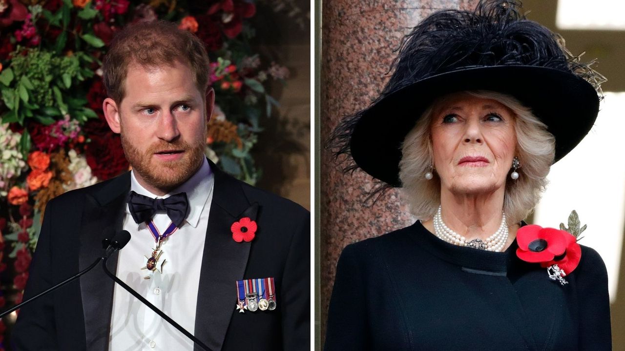 Prince Harry could influence Camilla&#039;s royal title when Queen dies