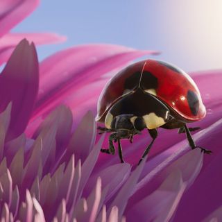 Insects: An Xbox One X Enhanced Experience