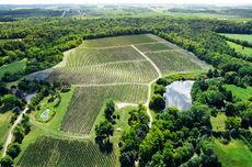 Le Clos Jordanne vineyard in the Niagara Peninsula in Ontario