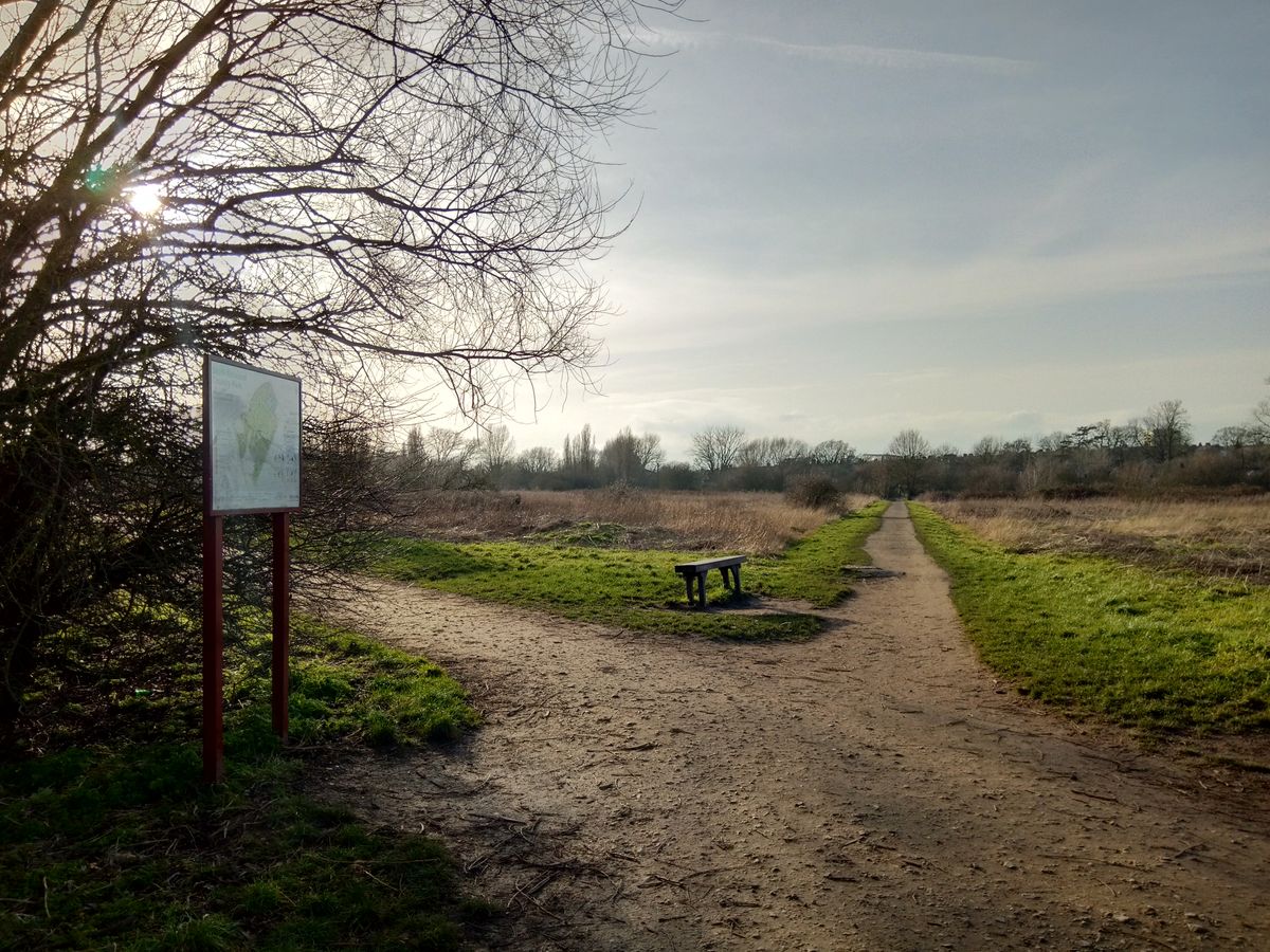 The effective HDR results in some very pleasant nature shots. Image credit: TechRadar