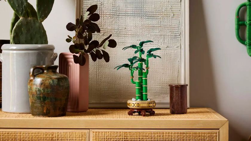 Lego Lucky Bamboo set