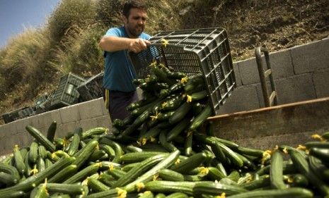 While German authorities continue to investigate the source of a deadly E. coli outbreak, some Americans worry the same thing could happen stateside.