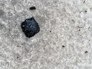 Third Osceola Meteorite Find Close Up