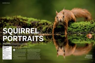 Shoot seasonal wildlife images with Sean Weekly