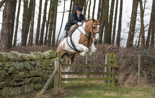 William Pittendrigh side-saddle