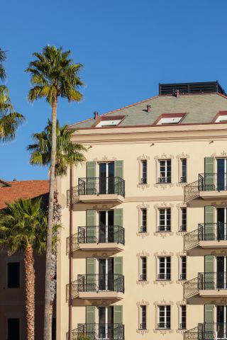 Elegant hotel front with palm tree