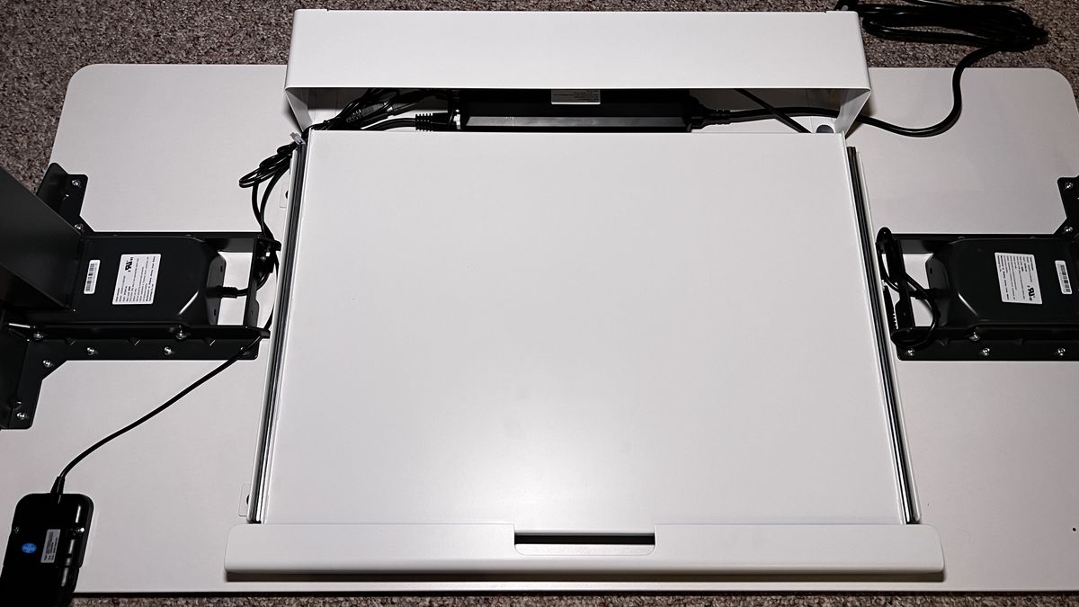 Branch Duo Standing Desk